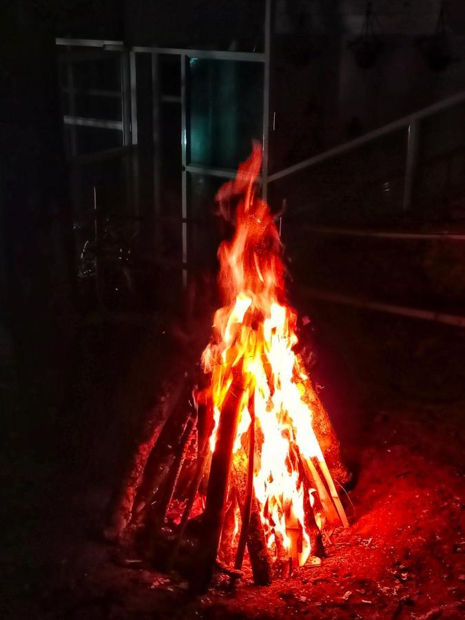 מלון מונאר Tree Blanche מראה חיצוני תמונה